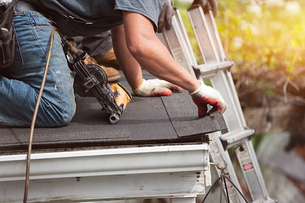 Best Metal Roofing Contractor  in Lincoln, IL