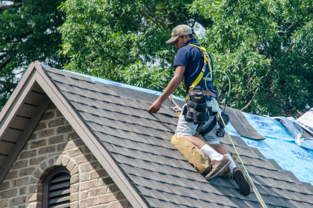 Best Roof Waterproofing Services  in Lincoln, IL
